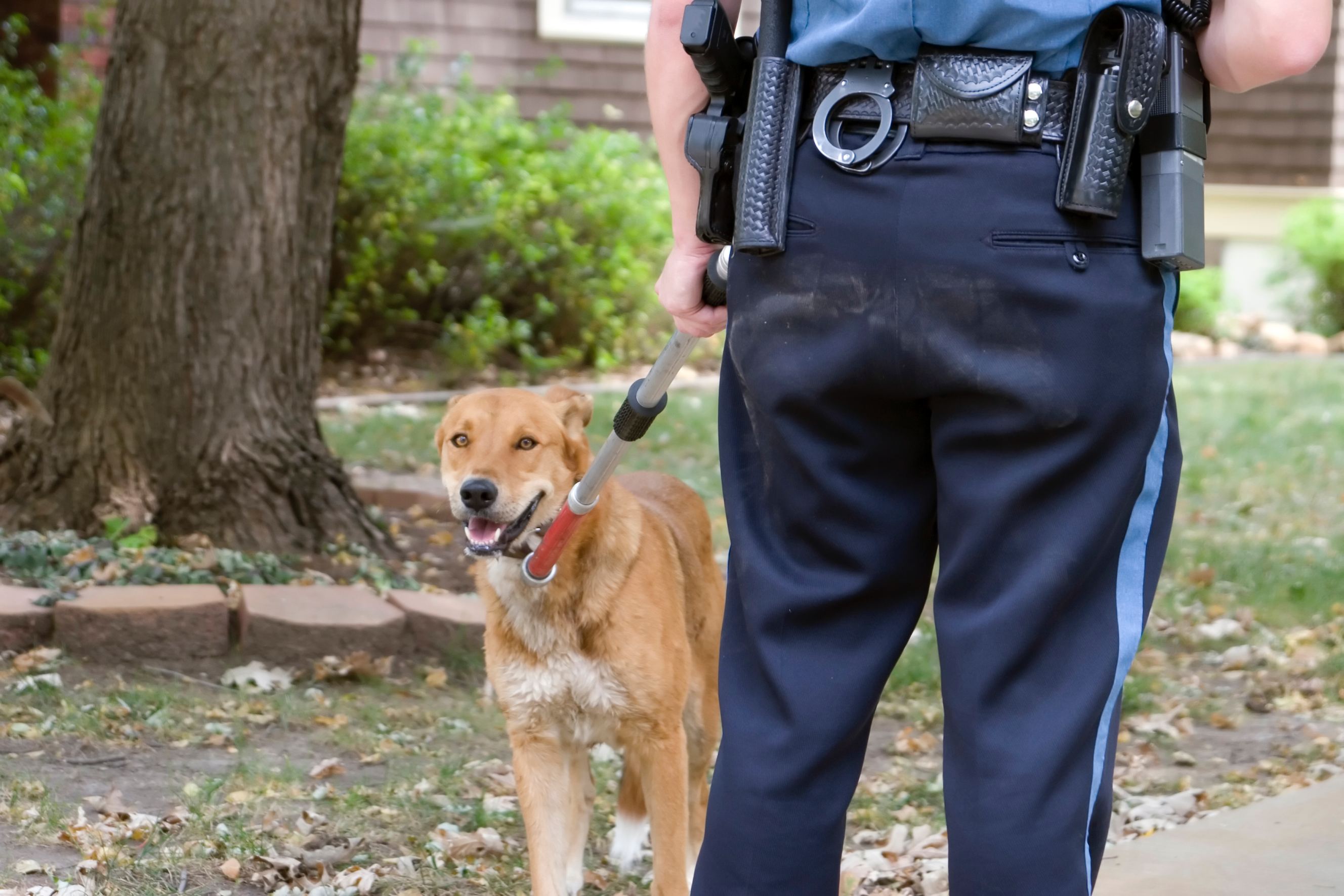 Tasker performing a Animal Control job.